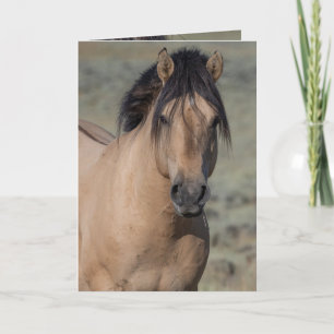 Fallen Star's Portrait Wild Horse Cartes de voeux