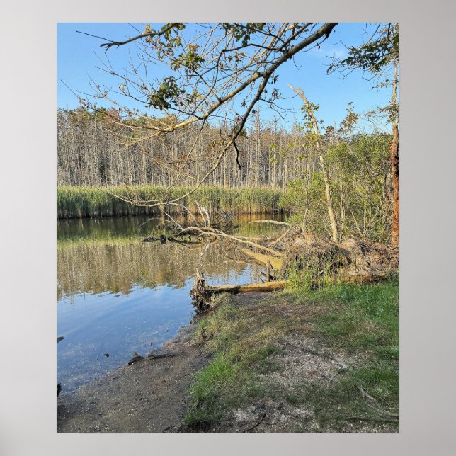 Fallen Trees Waterscape Poster (Vorne)