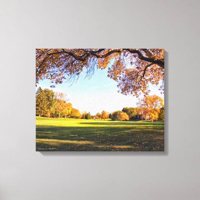 Fallende für Iowa Canvas Print Leinwanddruck (Vorderseite)