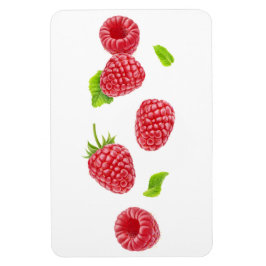 Fallende Himbeeren Magnet