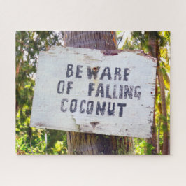 FALLENDE KOKONUTS 16x20 INCH
