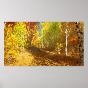 Fallende Light Print Poster