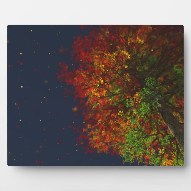 Fallende Rainbow Picture Plaque Fotoplatte (Vorderseite)