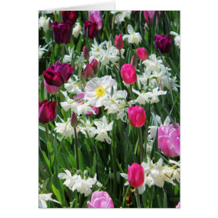 Fallende romantische Frühlingsmorgens