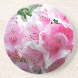 Fallende rosa Blumenblüten Untersetzer