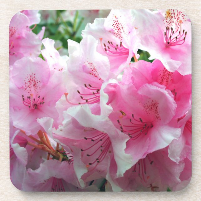 Fallende rosa Blumenblüten Untersetzer (Vorderseite)