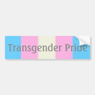 Fallende Transgender Pride Flag Version 2 (Text) Autoaufkleber
