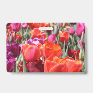 Fallende warme Tulpen Ausweis