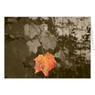 Fallfarbe