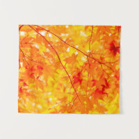 Fallfolien Bäume Natur KLEIN