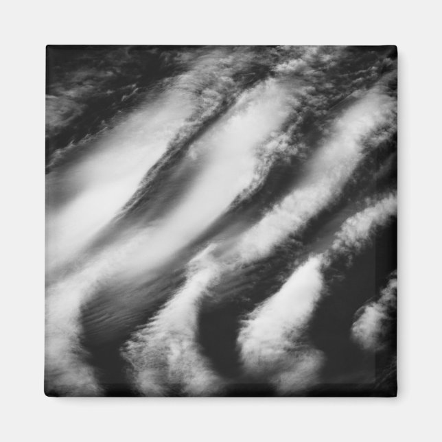 Fallgeier Magnet (Vorne)