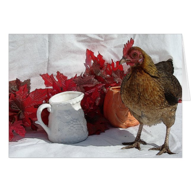 Fallhähnchen (Vorderseite (Horizontal))