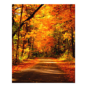 FallhinterFoto Fotodruck