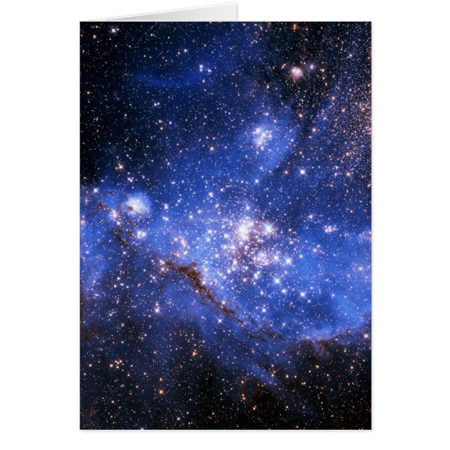 Falling Blue Embrionic Stars (Vorne)