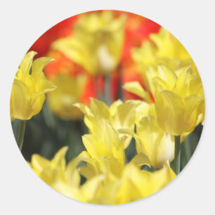 Falling Floral Summer Glow Runder Aufkleber