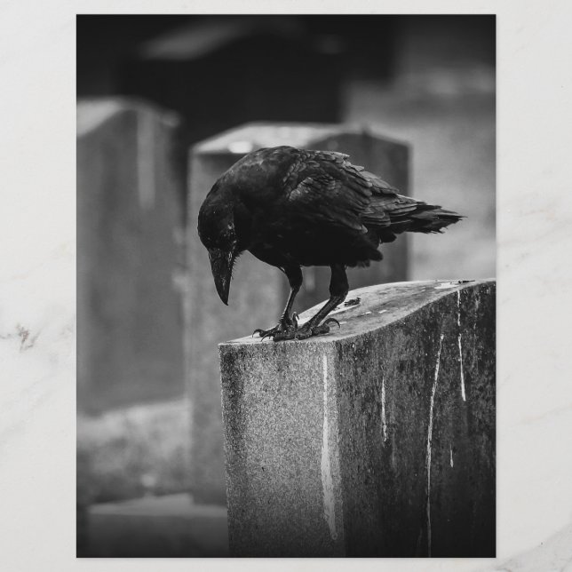 Falling Friedhof Crow (Vorderseite)