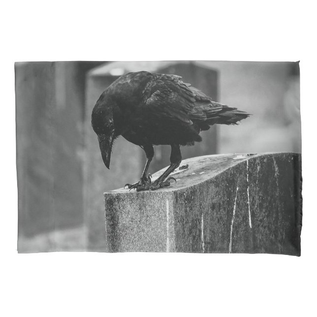 Falling Friedhof Crow Kissenbezug (Vorderseite)
