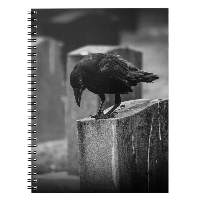 Falling Friedhof Crow Notizblock (Vorderseite)