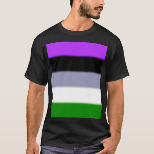 Falling Genderqueer Pride Flag T-Shirt