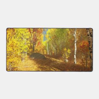 Falling Light Desk Mat