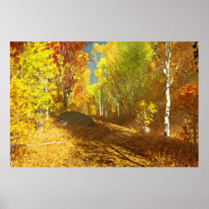 Falling Light Print Poster