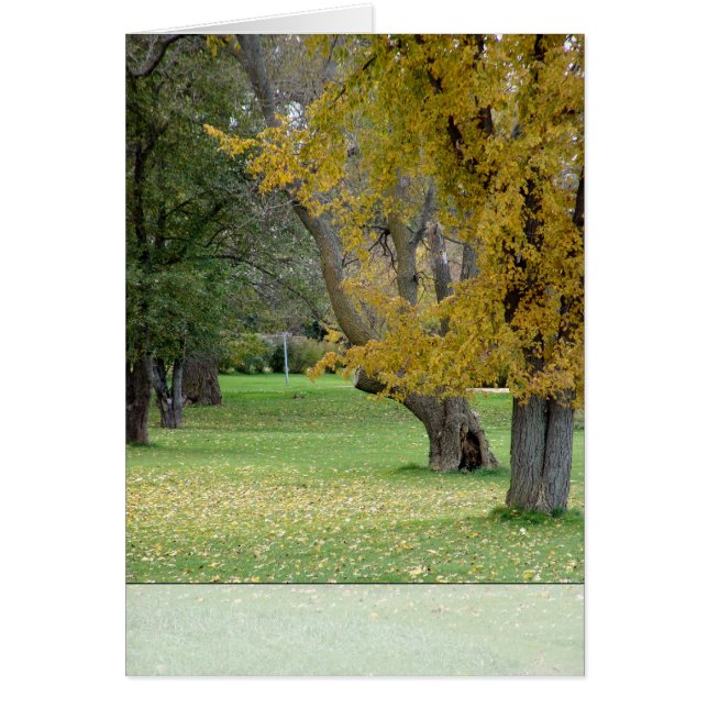 Fallkarte (Vorne)