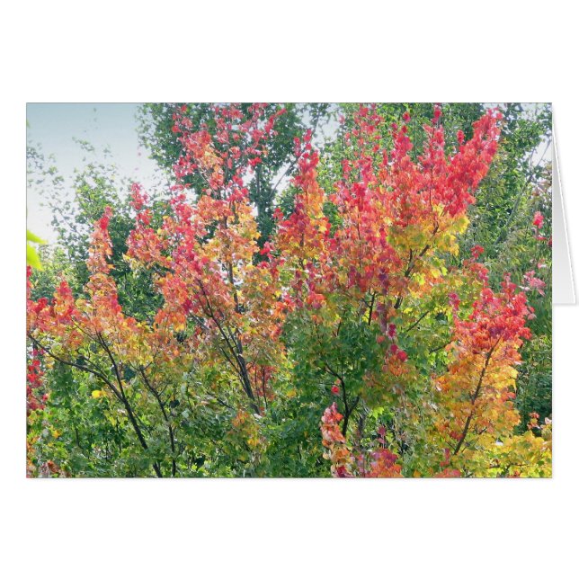 Fallkarten (Vorderseite (Horizontal))