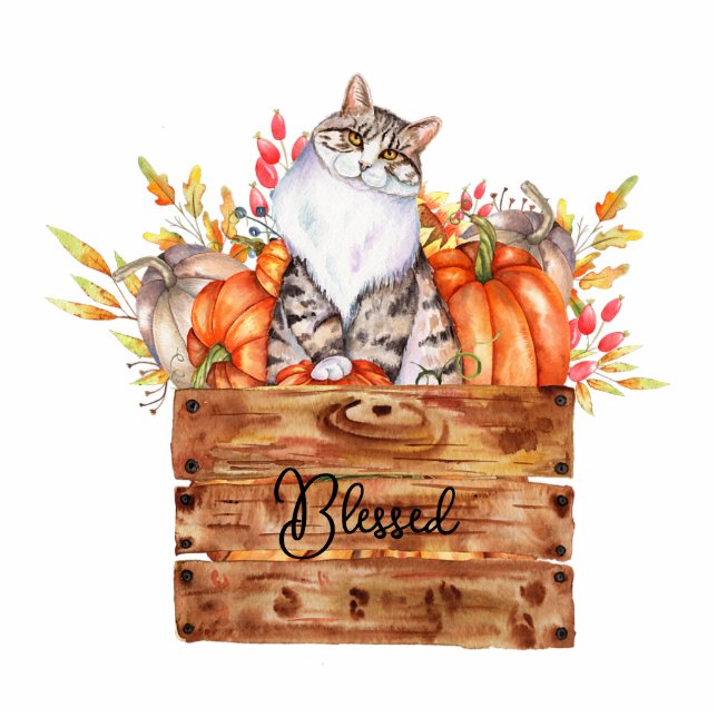 Fallkatze und Kürbis in Kastenzugmagneten Fotoskulptur Magnet (Vorne)