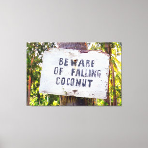 FALLKOKONUTS 32x48 Leinwanddruck