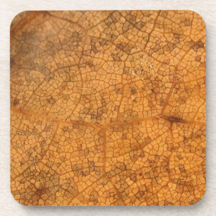 Fallleaf 8A Untersetzer