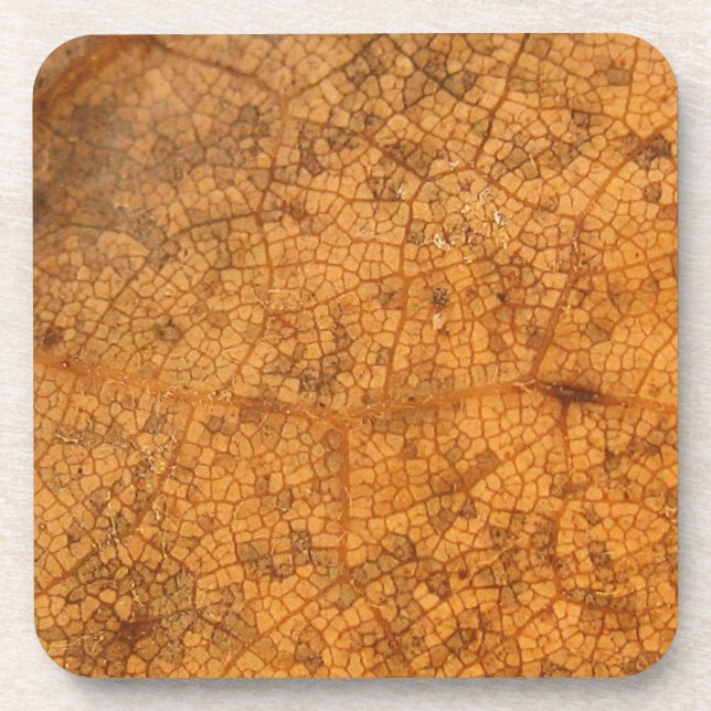 Fallleaf 8A Untersetzer (Vorderseite)