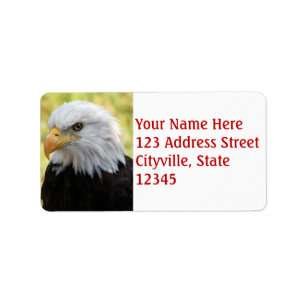 Falln Bald Eagle Liberty Adressaufkleber