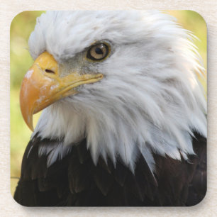 Falln Bald Eagle Liberty Getränkeuntersetzer