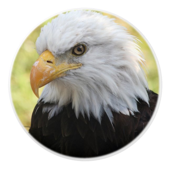 Falln Bald Eagle Liberty Keramikknauf (Vorderseite)
