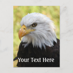 Falln Bald Eagle Liberty Postkarte
