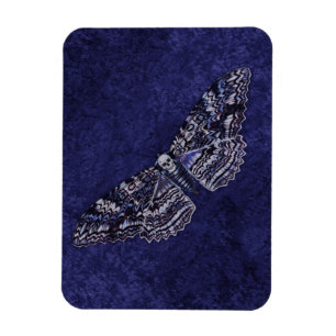 Falln Deathshead Moth Magnet