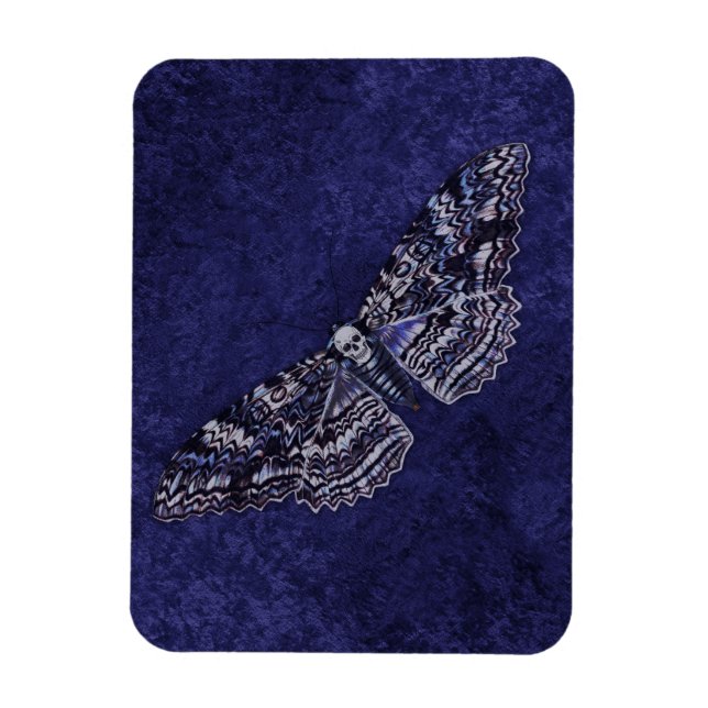Falln Deathshead Moth Magnet (Vertikal)