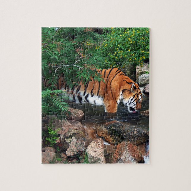 Falln Drink Tiger (Vertikal)