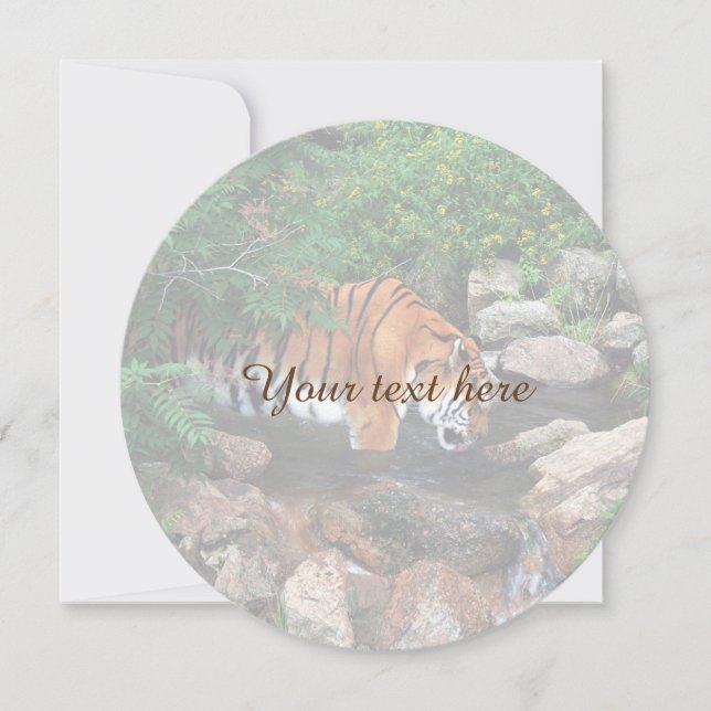 Falln Drink Tiger (Vorderseite)