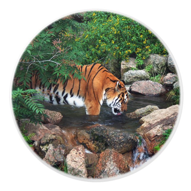 Falln Drink Tiger Keramikknauf (Vorderseite)