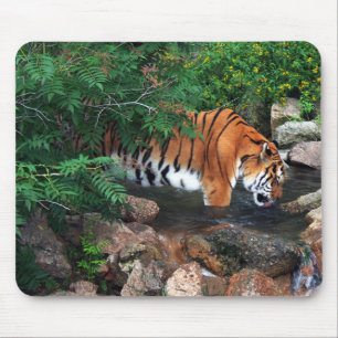 Falln Drink Tiger Mousepad