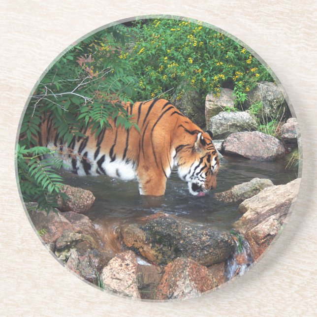 Falln Drink Tiger Untersetzer (Vorne)