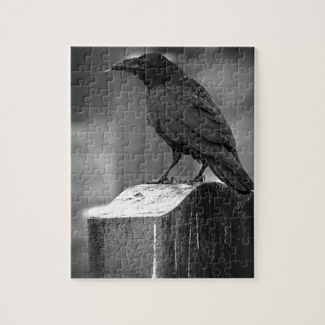 Falln fand eine Feder (Vertikal)