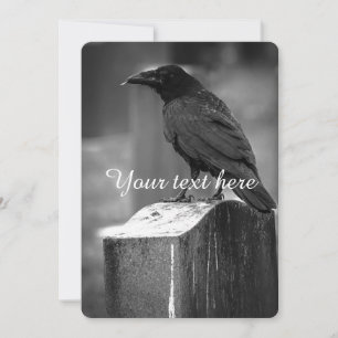 Falln fand eine Feder