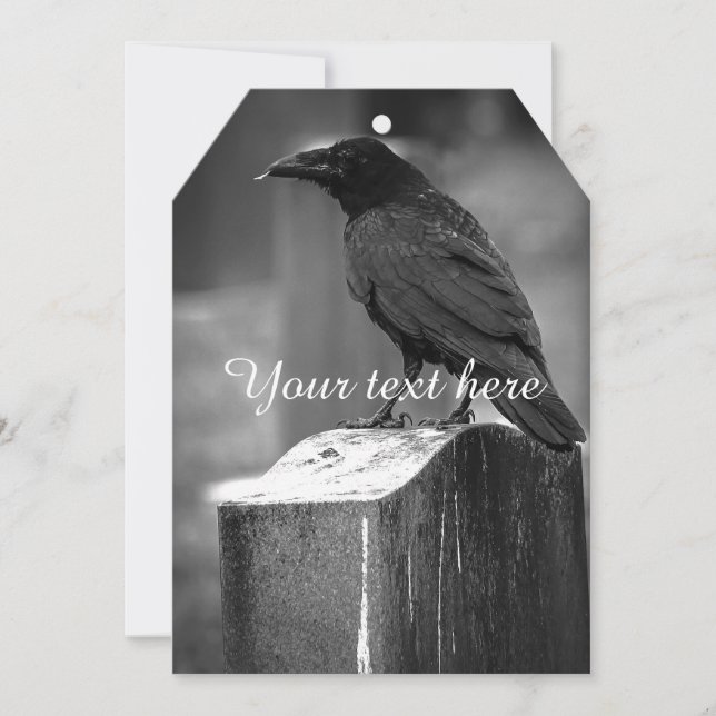 Falln fand eine Feder (Vorderseite)