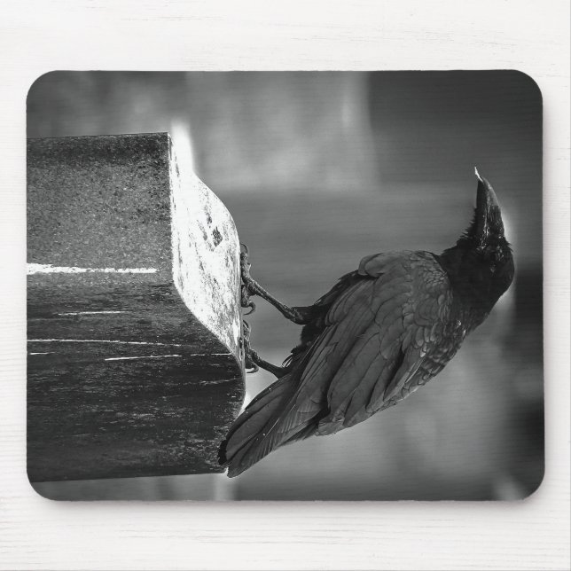Falln fand eine Feder Mousepad (Vorne)