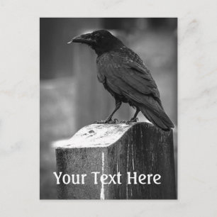 Falln fand eine Feder Postkarte