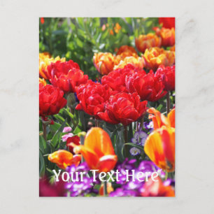 Falln Floral Crimson Waves Postkarte