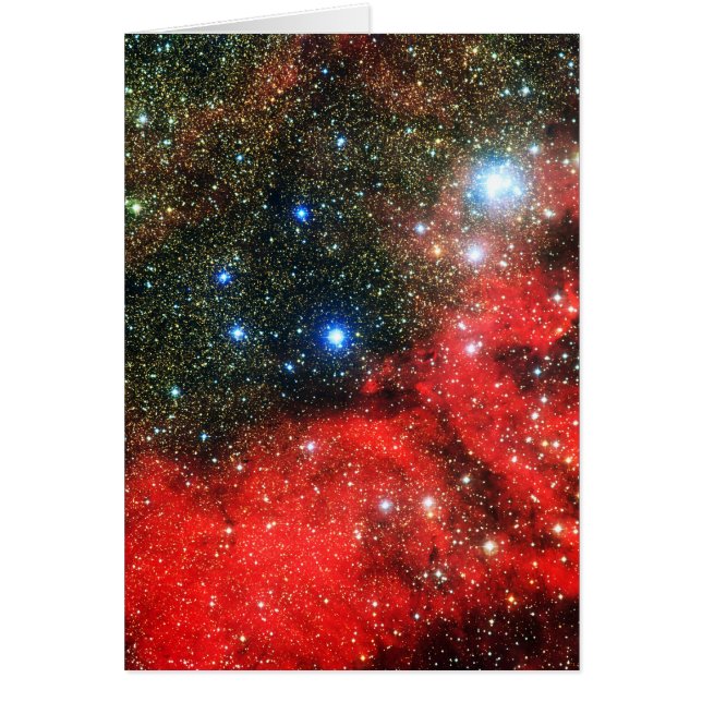 Falln Gold Dusted Galaxy (Vorne)