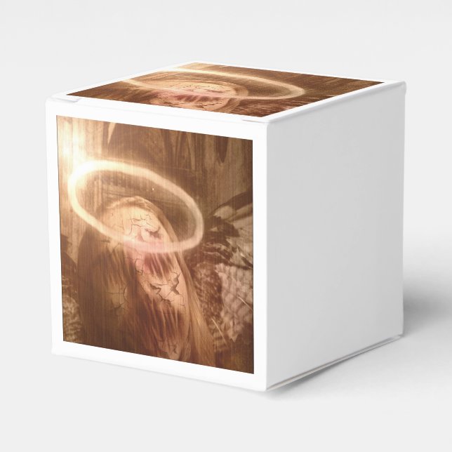 Falln Guardian Angel Geschenkschachtel (Vorderseite)